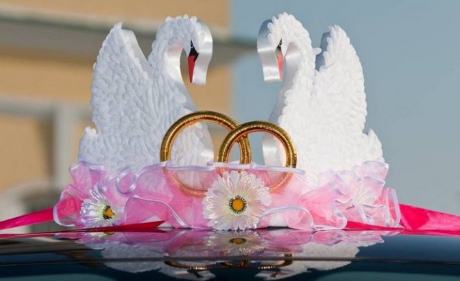свадебные лебеди