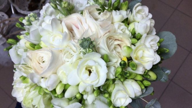 Свадебный микс в белых тонах