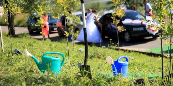 Традиции деревянной свадьбы