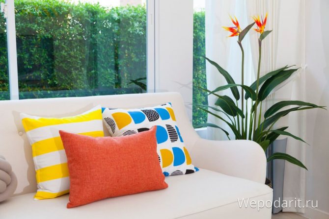 три разноцветные подушки на диване