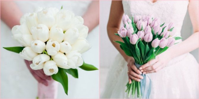 Тюльпаны актуальны весной