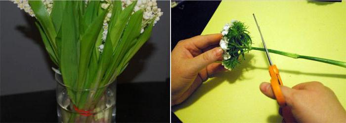 удаление стеблей у гвоздики