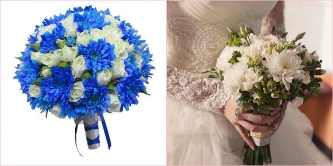 В морозную погоду популярны хризантемы