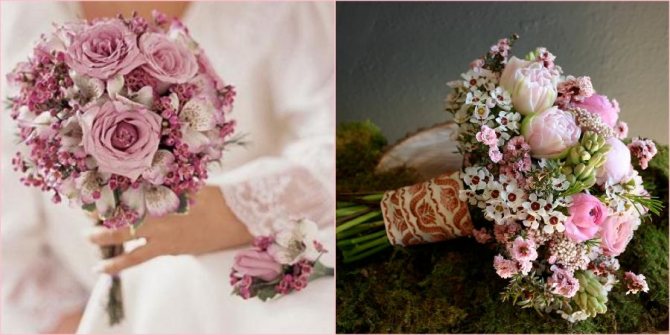 Ваксфлауэры станут прекрасным дополнением к цветам