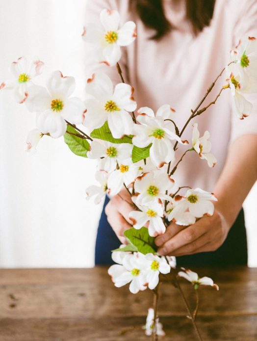 Ветви орхидеи