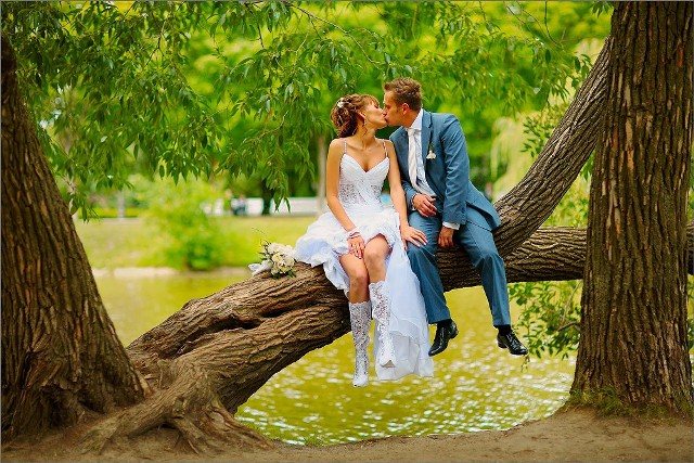 Ветви семейного древа