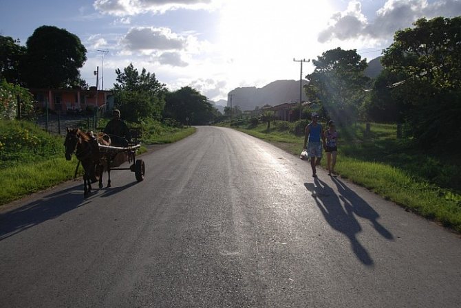 Виньялес, 2013 - фото: Мария Горковская