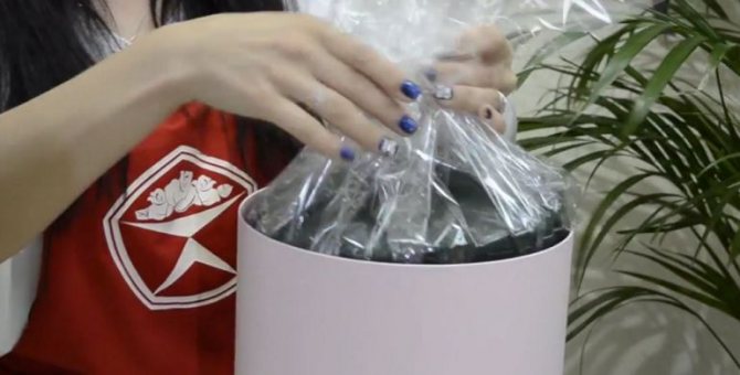 Влажный «оазис» в плотном целлофане в коробке