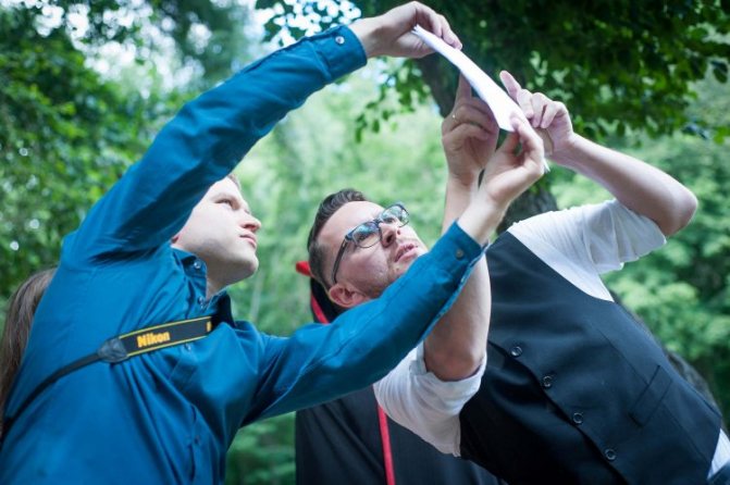 Выбор сценария квеста