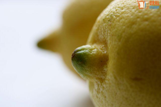 Выкуп невесты «Сумасшедший дом»