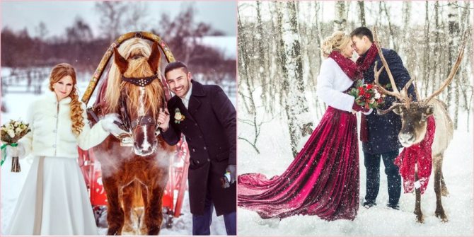 Задействуйте животных