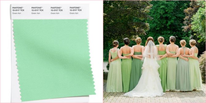 Зеленый Ясень будет отлично смотреться на свадьбе ранней весной