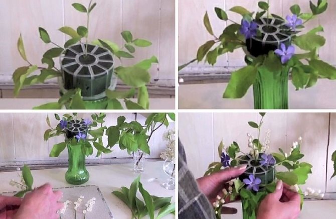 Жимолость, яблоня, ландыши