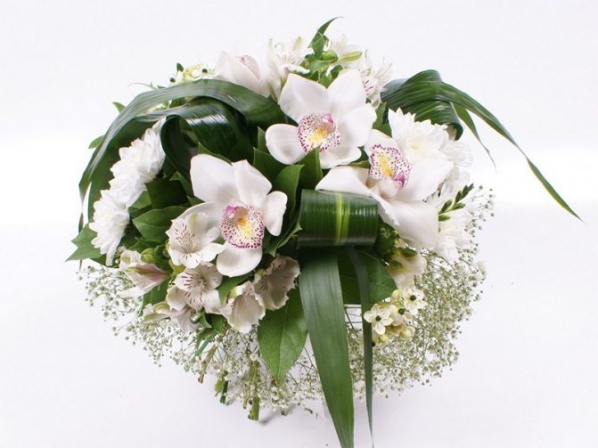 Живые цветы в букете орхидей