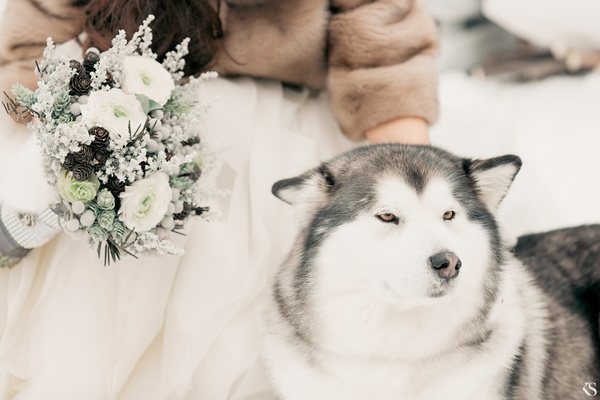 Зимняя свадьба в стиле рустик